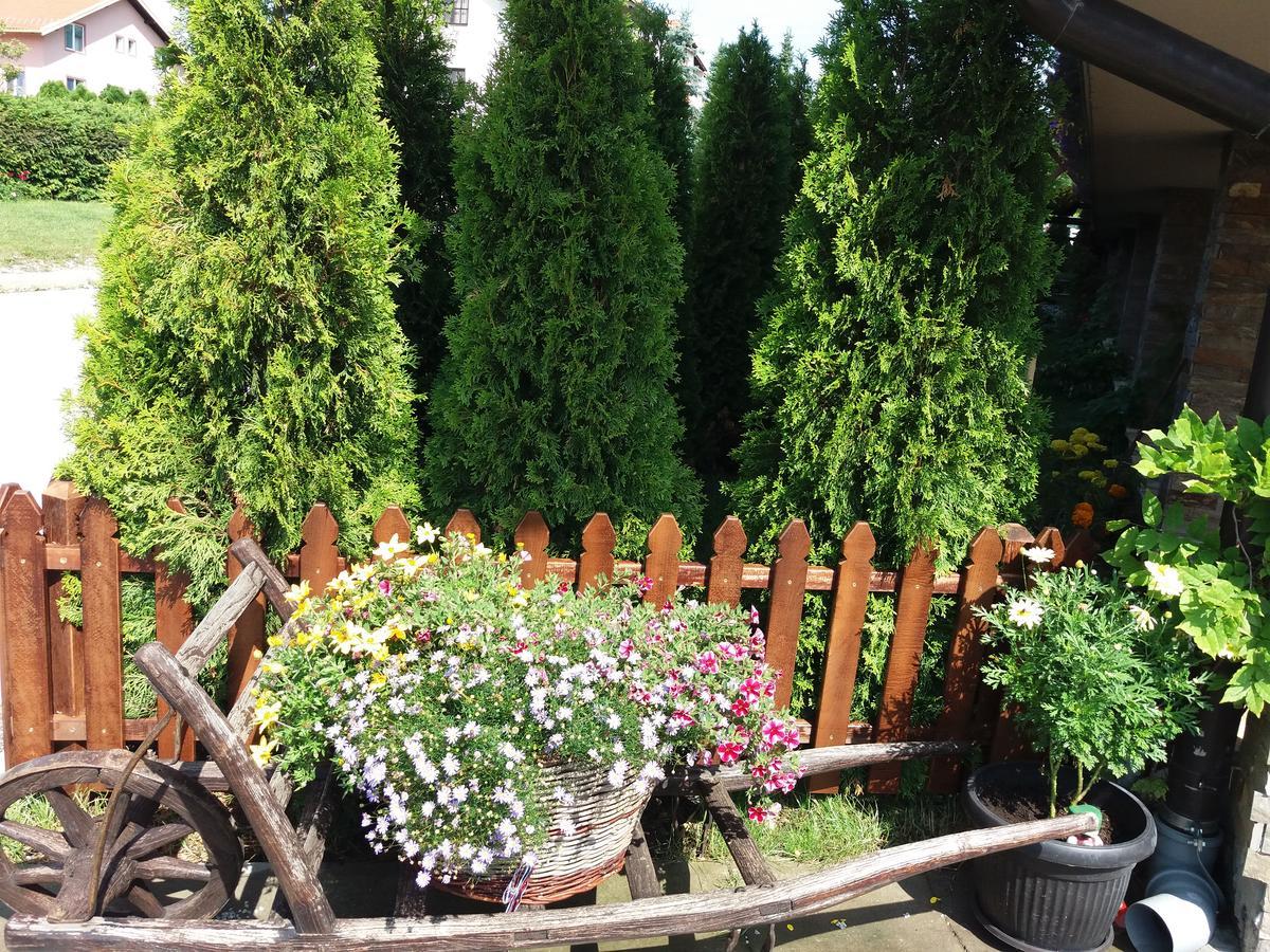 Apartamento Centar! Lara Zlatibor Exterior foto